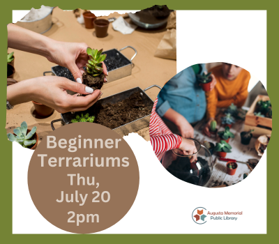 Beginner Terrariums Thursday, July 20 at 2:00 pm.